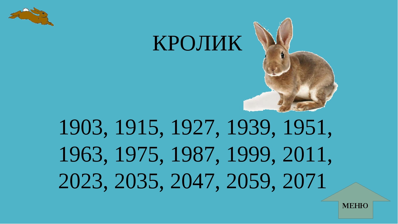 Кролик года жизни